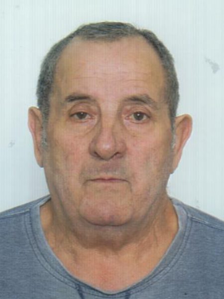 DOMITROVIĆ p