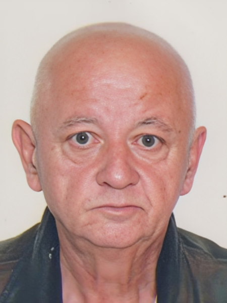 MIRO PERKOVIĆ SLIKA