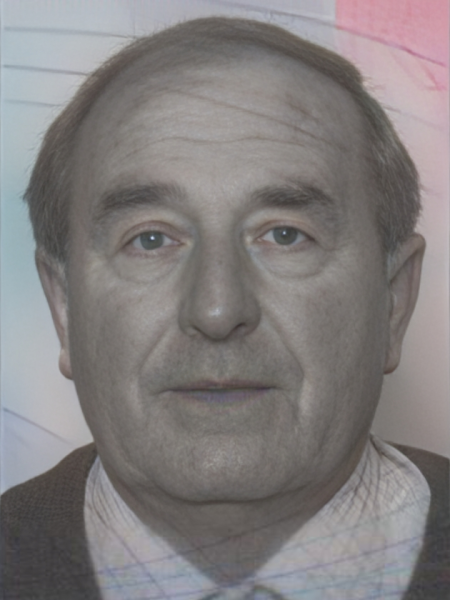 Kovač slika