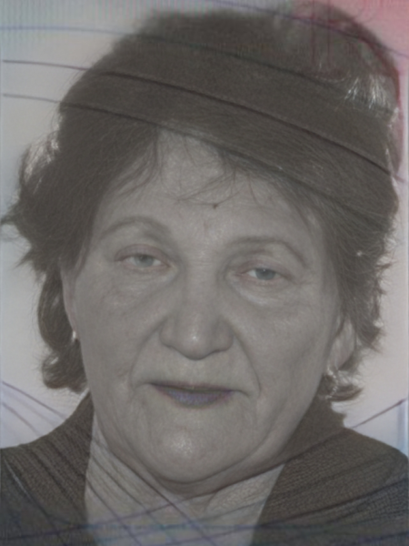 Brkićpr